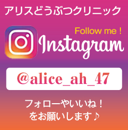 �A���X�ǂ��ԂN���j�b�N �C���X�^�O�����o�i�[